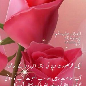 Meet your Posher, Sonia